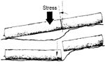 
If cutoff section is likely to settle and bind against the blade, make cuts on an angle so the cut opens up.
